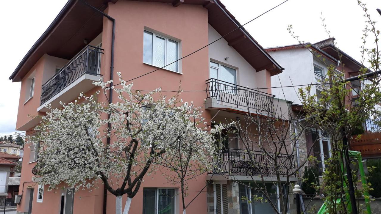 Вила Багрянови Dospat Exterior foto